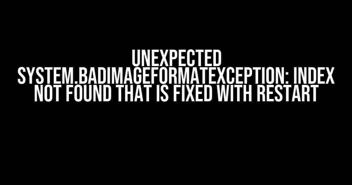 Unexpected System.BadImageFormatException: Index not found That is Fixed with Restart